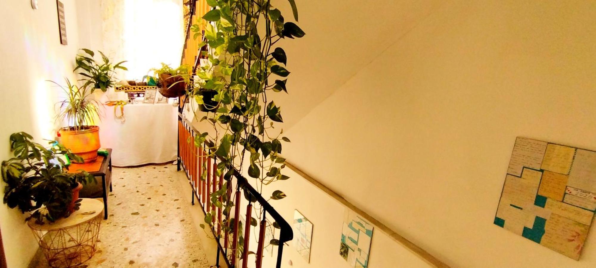 Cozy Room In Quiet Neighbourhood Athens Exterior photo
